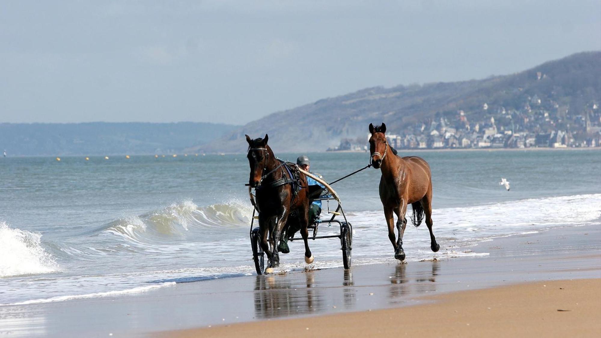 Cote Plage & Balcon Cabourg Bagian luar foto